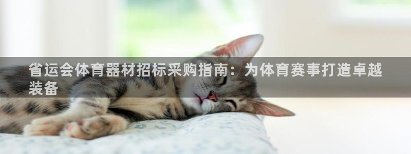 富联官方网站入口网址：省运会体育器材招标采购指南：为