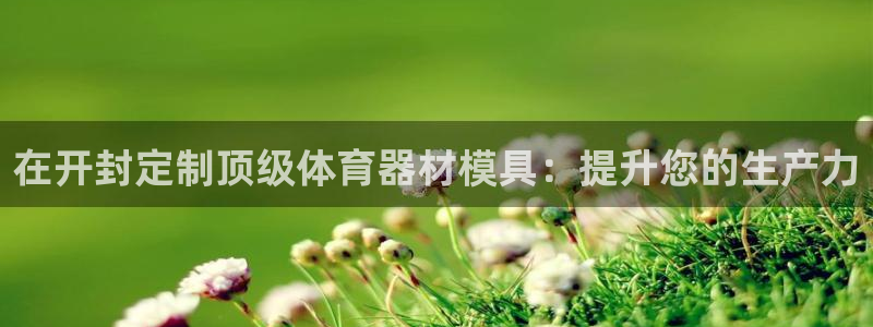 共富联盟店是不是真的：在开封定制顶级体育器材模具：提