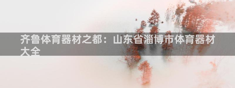 富联官网注册流程：齐鲁体育器材之都：山东省淄博市体育