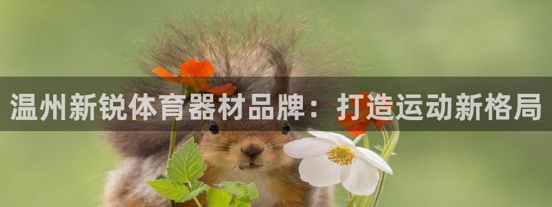 富联娱乐怎么样知乎：温州新锐体育器材品牌：打造运动新