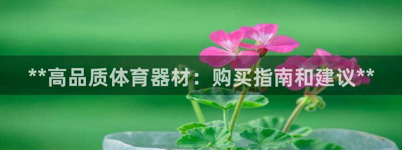 富联娱乐老板叫什么：**高品质体育器材：购买指南和建