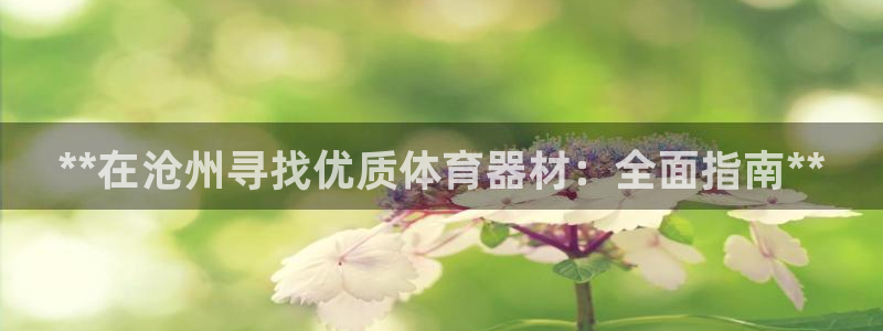 富联娱乐噢 411O31 富联：**在沧州寻找优质体