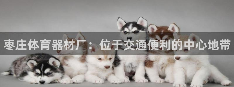 富联娱乐马 411O31 娱乐：枣庄体育器材厂：位于