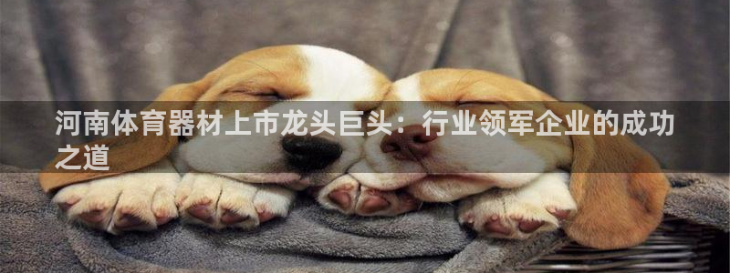 富联申购什么时候上市交易：河南体育器材上市龙头巨头：