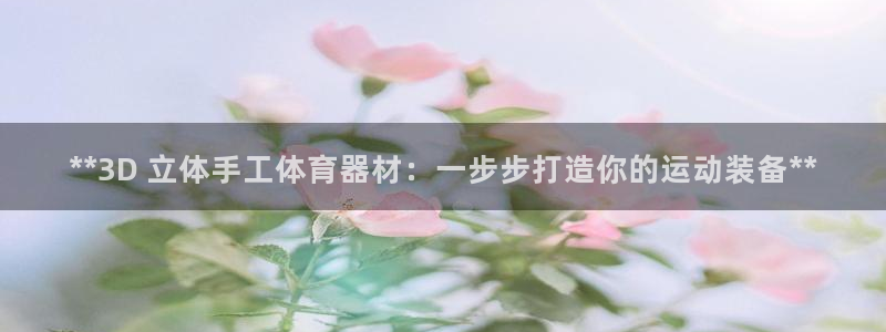 富联平台乙6.7.5.1.3.8：**3D 立体手工