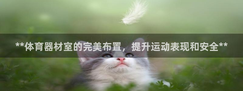 富联平台登录网址是什么：**体育器材室的完美布置，提升运动表