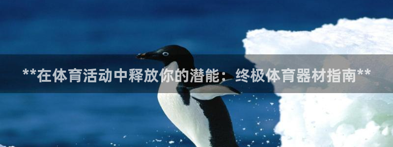 富联娱乐官方网站首页：**在体育活动中释放你的潜能：