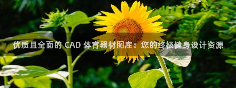 富联娱乐平台怎么样啊：优质且全面的 CAD 体育器材