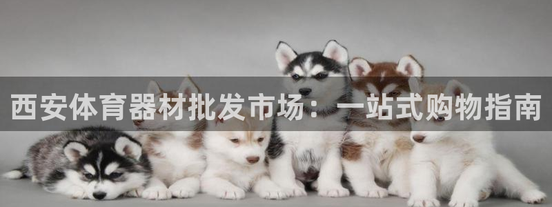 富联平台挂机：西安体育器材批发市场：一站式购物指南