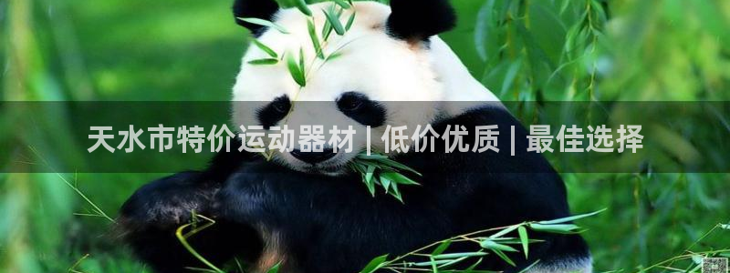 富联娱乐讲7O777：天水市特价运动器材 | 低价优