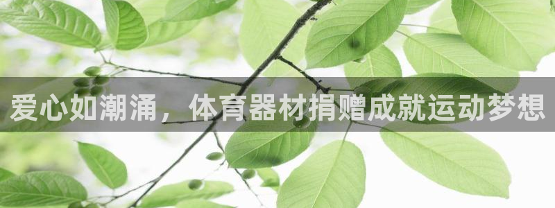 富联娱乐玩法机制是什么：爱心如潮涌，体育器材捐赠成就
