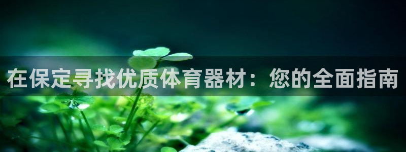 富联平台地址：在保定寻找优质体育器材：您的全面指南