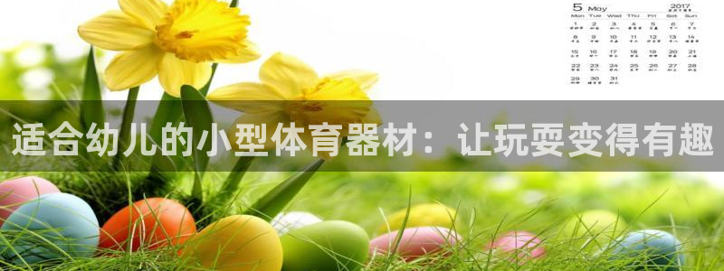 富联官方网站登录：适合幼儿的小型体育器材：让玩耍变得
