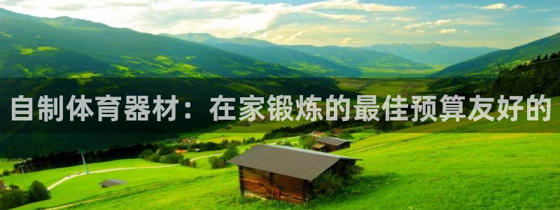 富联申购可以赚多少钱：自制体育器材：在家锻炼的最佳预