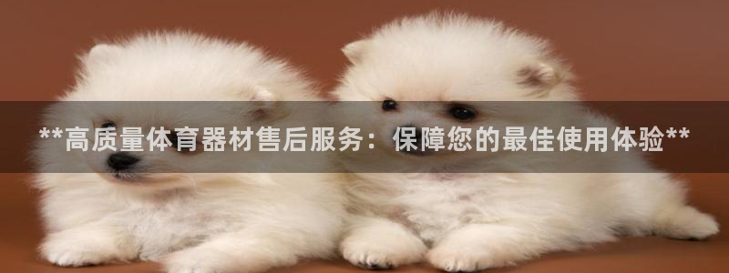富联娱乐登录地址：**高质量体育器材售后服务：保障您