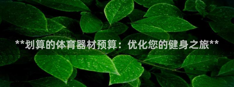 富联娱乐官方网站入口：**划算的体育器材预算：优化您