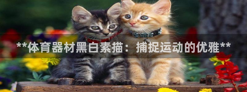 富联平台总代：**体育器材黑白素描：捕捉运动的优雅*