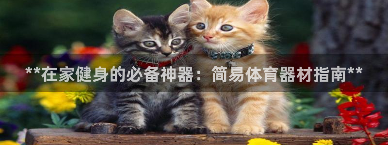 富联娱乐测速app：**在家健身的必备神器：简易体育
