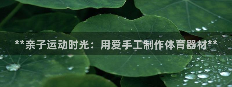 富联娱乐平台怎么样可靠吗：**亲子运动时光：用爱手工