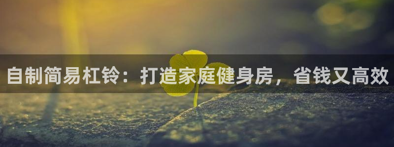富联平台登录网址是什么：自制简易杠铃：打造家庭健身房