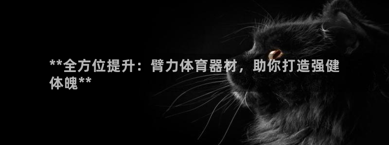富联娱乐平台开户：**全方位提升：臂力体育器材，助你打造强健