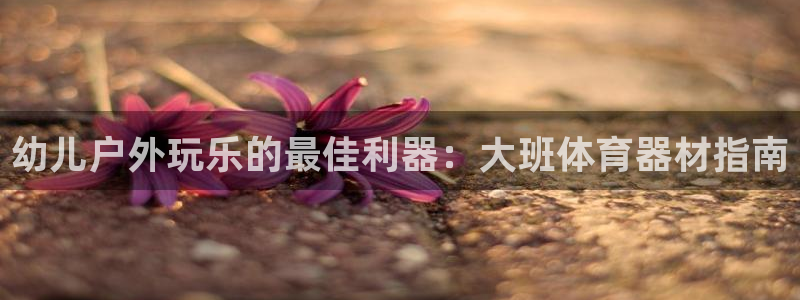 富联娱乐向 5o69I7：幼儿户外玩乐的最佳利器：大