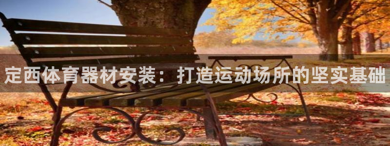 富联娱乐平台开户条件有哪些：定西体育器材安装：打造运