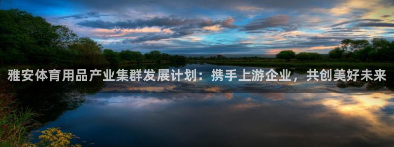 富联是什么板块：雅安体育用品产业集群发展计划：携手上