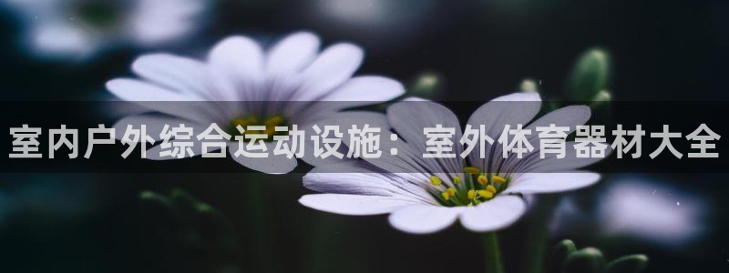 富联娱乐心 5o69I7：室内户外综合运动设施：室外体育器材