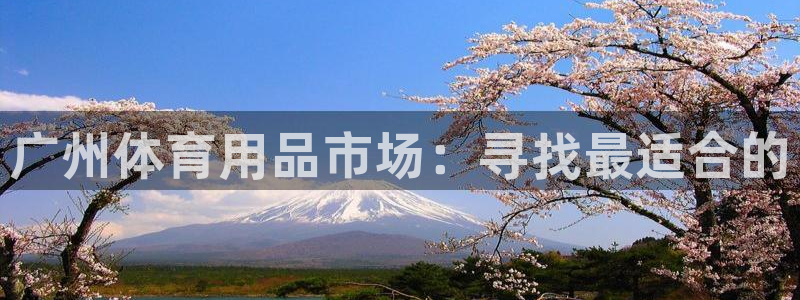 富联平台官网首页：广州体育用品市场：寻找最适合的