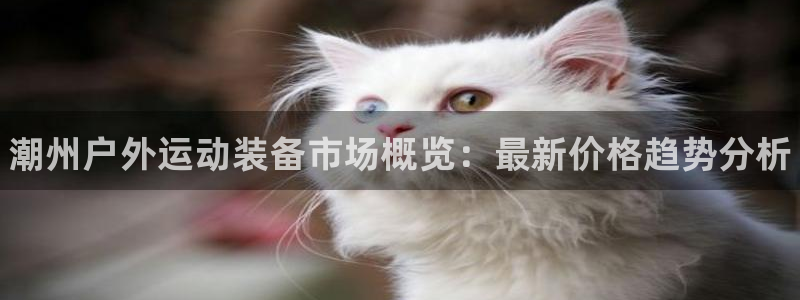 富联娱乐总代理：潮州户外运动装备市场概览：最新价格趋势分析